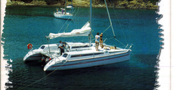 Essai : Edel Cat 35